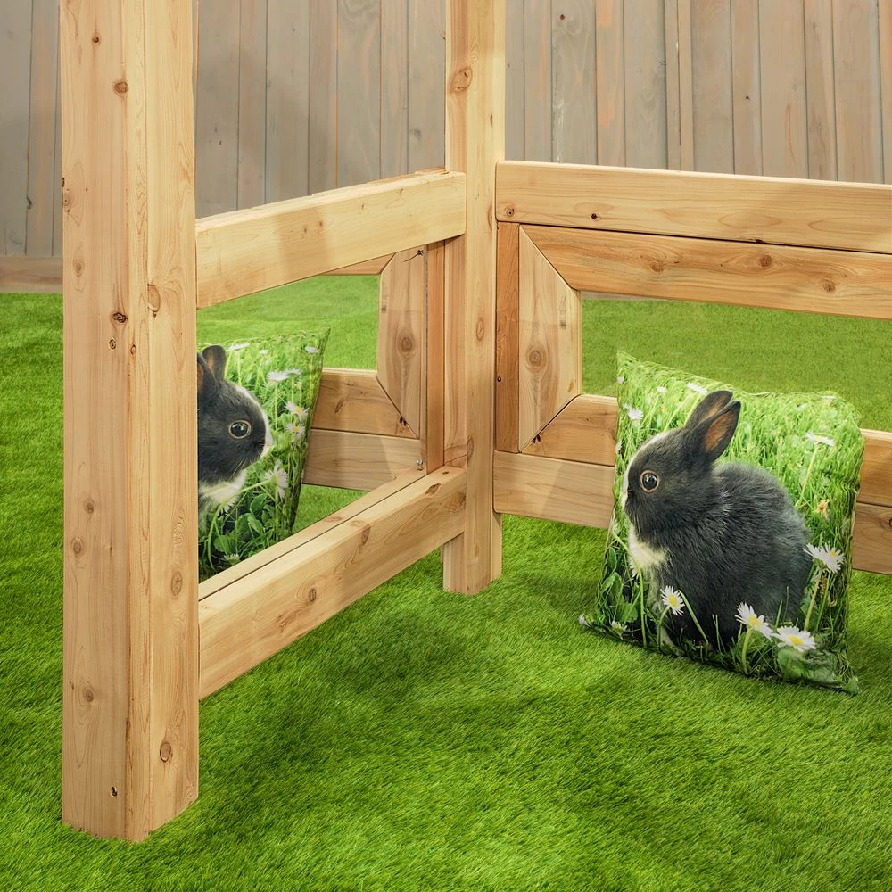 Baby Den 7 Baby Den - Image 5