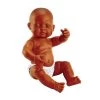 Hispanic Multicultural Newborn Baby Doll - GIRL -Toy Room S288467