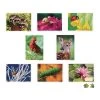 Excellerations® Garden Creature Puzzles - Set Of 8 -Toy Room S339370