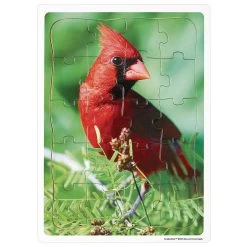 Excellerations® Garden Creature Puzzles - Set Of 8 -Toy Room S339370 1