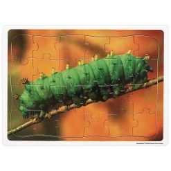 Excellerations® Garden Creature Puzzles - Set Of 8 -Toy Room S339370 2