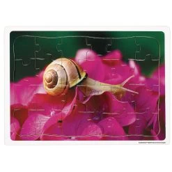 Excellerations® Garden Creature Puzzles - Set Of 8 -Toy Room S339370 6