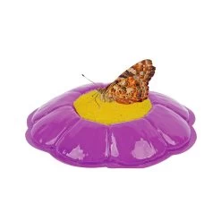 Butterfly Garden Classroom Set -Toy Room S624418 4