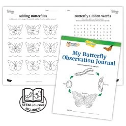 Butterfly Garden Classroom Set -Toy Room S624418 5