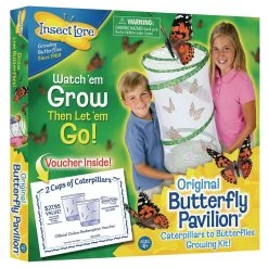 Butterfly Garden Classroom Set -Toy Room S624418 6