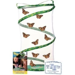 Butterfly Garden Classroom Set -Toy Room S624418 7