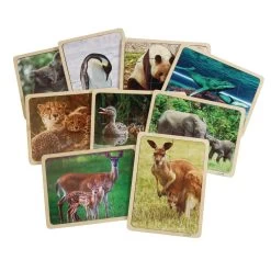 Excellerations® Animal Families Around The World Wooden Puzzles And Posters Set Of 9