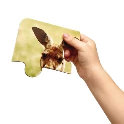 Excellerations® Animal Families Around The World Wooden Puzzles And Posters Set Of 9 -Toy Room S736635 1