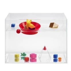 Float Or Sink Fun -Toy Room S921217 0