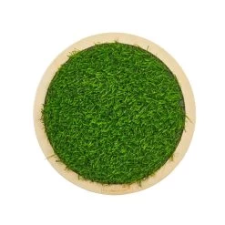 Excellerations® Wooden Sensory Grass Circles - Set Of 4 -Toy Room S969547 0